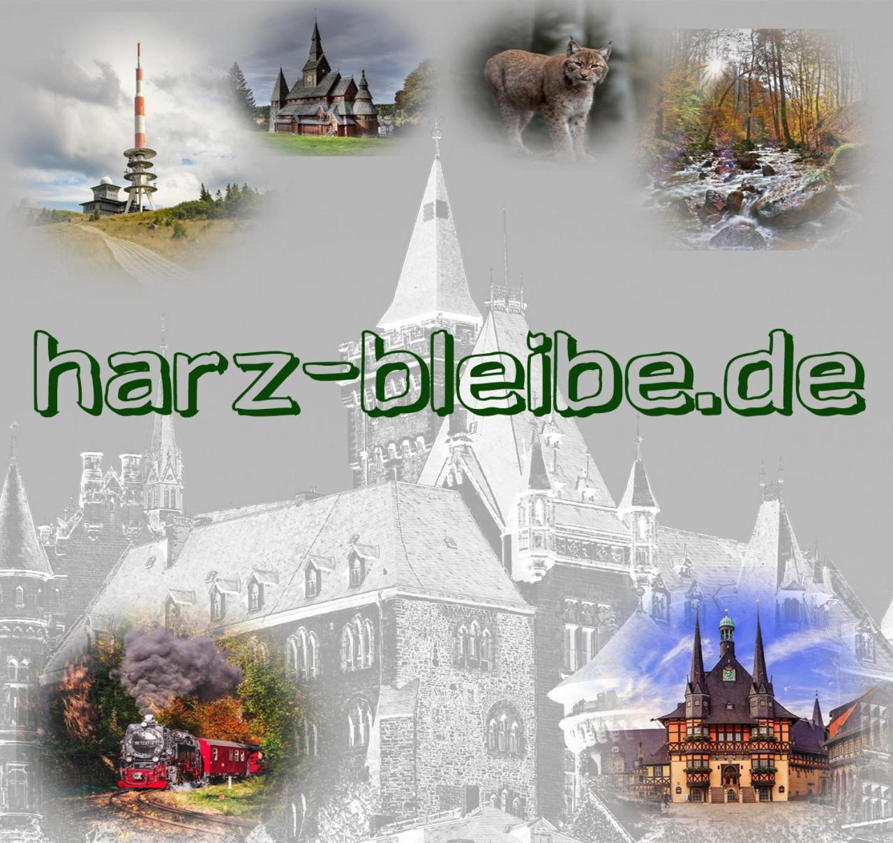 Апартаменти Harz-Bleibe Вернігероде Екстер'єр фото